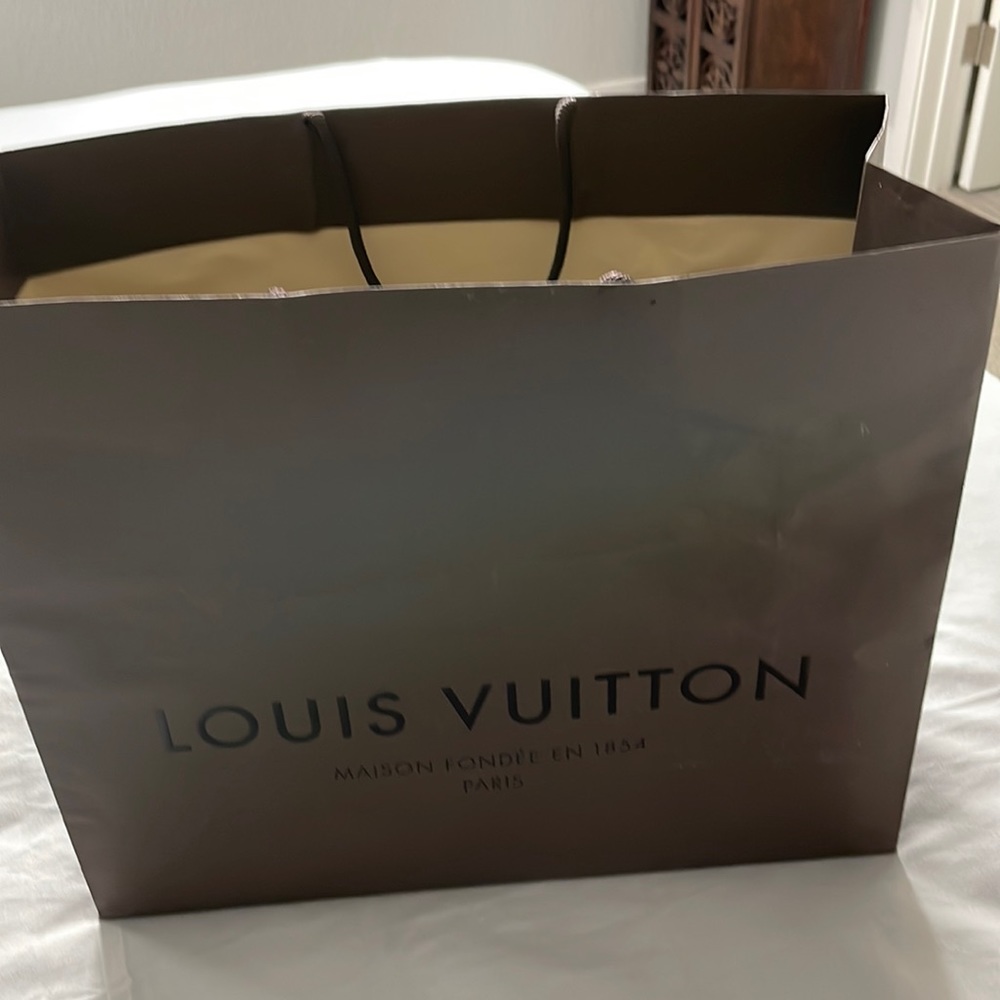 Louis Vuitton bag. Gently used. Some wrinkling